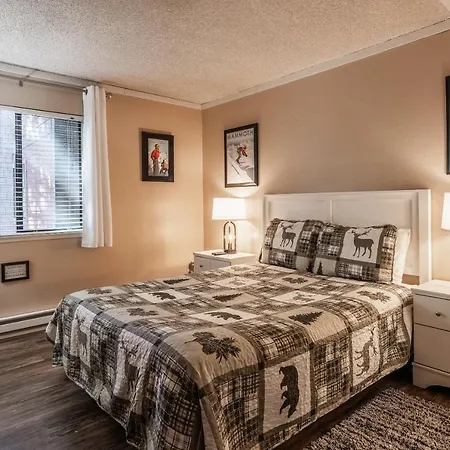 Summit Forester #47 Bldg.2 Bedrm / 2 Bath Ski In Ski Out! Steps To Chair 15 At Little Eagle Lodge!
